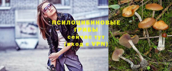 ешки Володарск