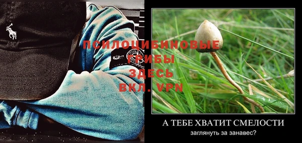 ешки Володарск