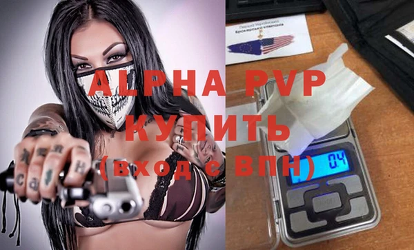 СК Волосово