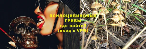 СК Волосово