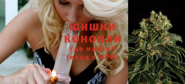 СК Волосово
