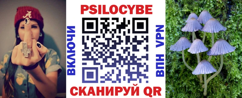 blacksprut онион  Кострома  Псилоцибиновые грибы GOLDEN TEACHER 